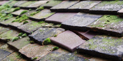Quorn roof repair costs